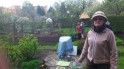 Img26